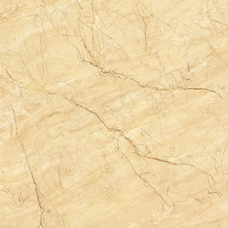 YHP80006 金色年華