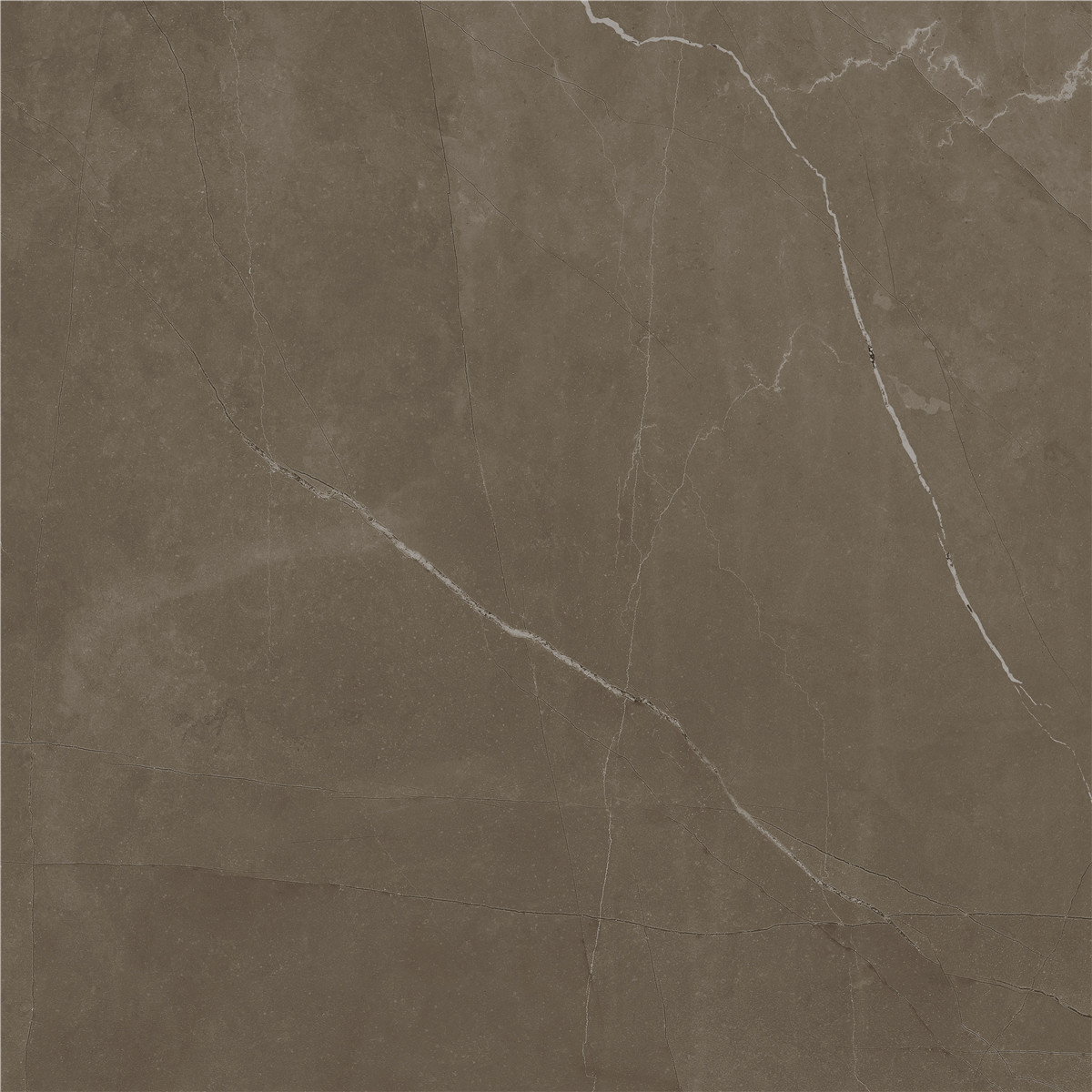 YCYB80026B 普佩斯棕咖