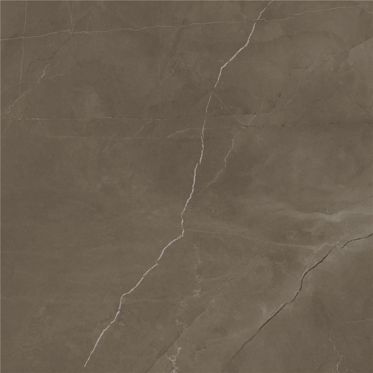 YCYB80026B 普佩斯棕咖