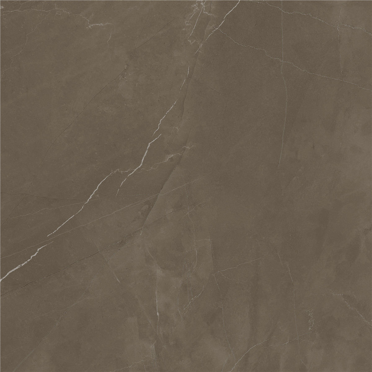 YCYB80026B 普佩斯棕咖