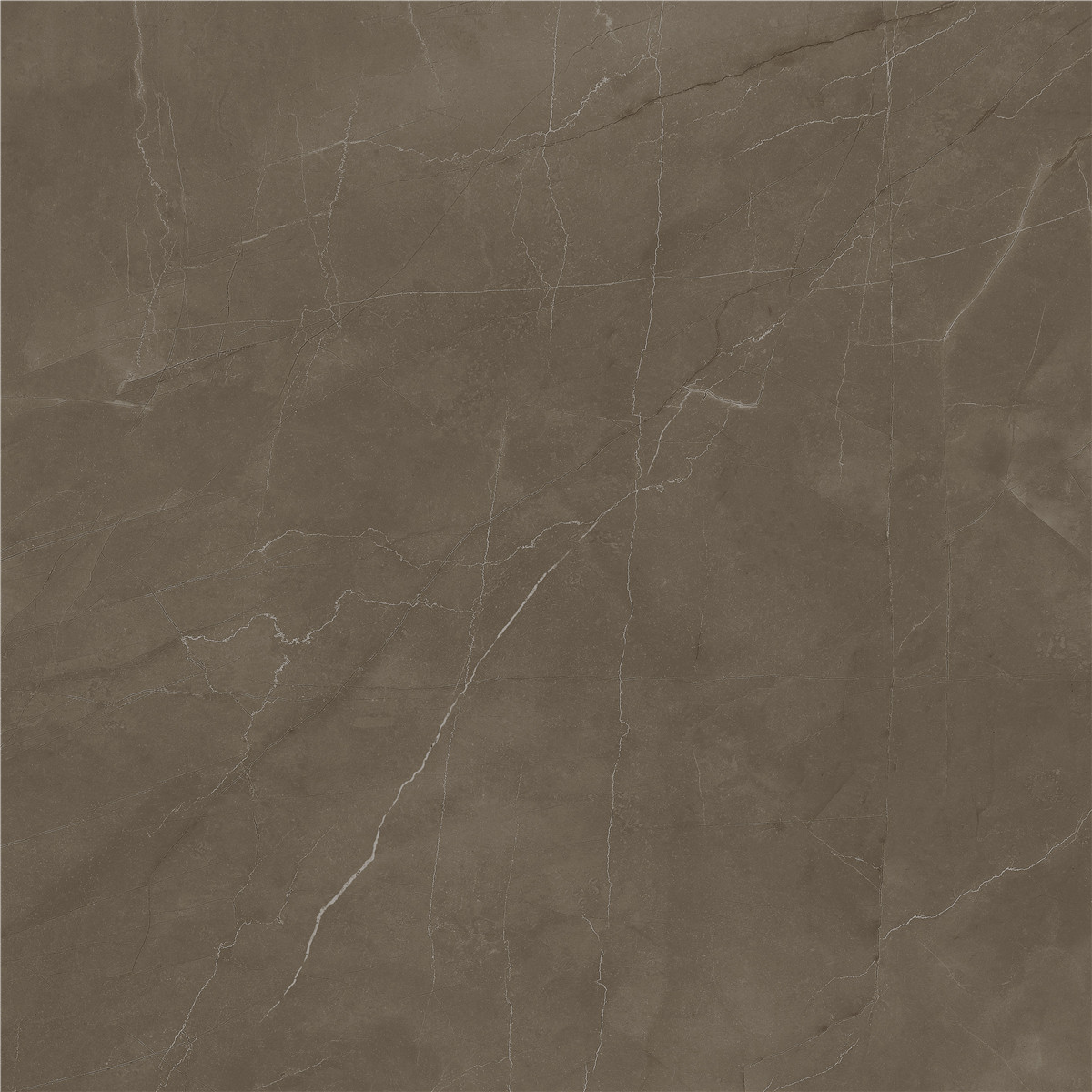 YCYB80026B 普佩斯棕咖