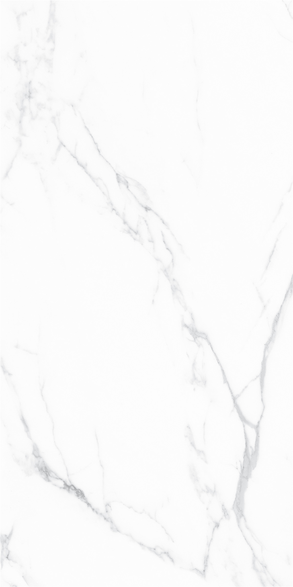 YTB18005薩爾塔白