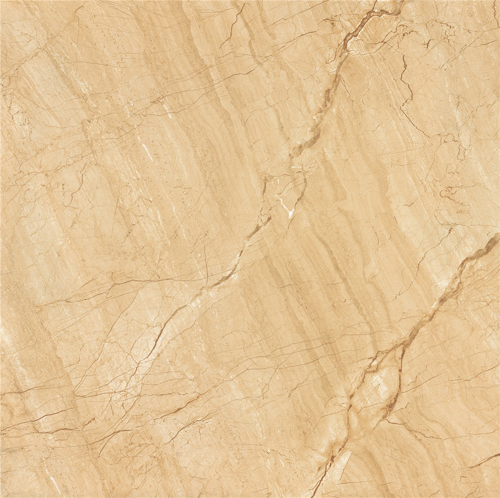 YHDG80002 金色年華