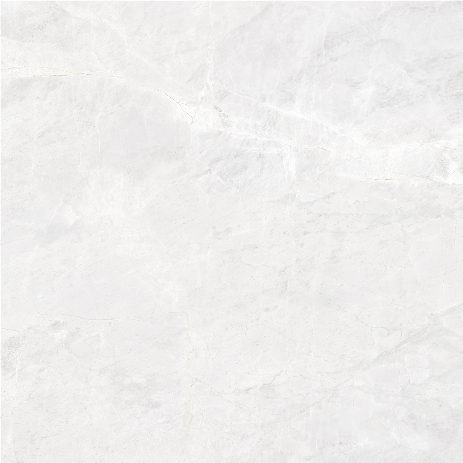 YBF80002圣塔倫灰