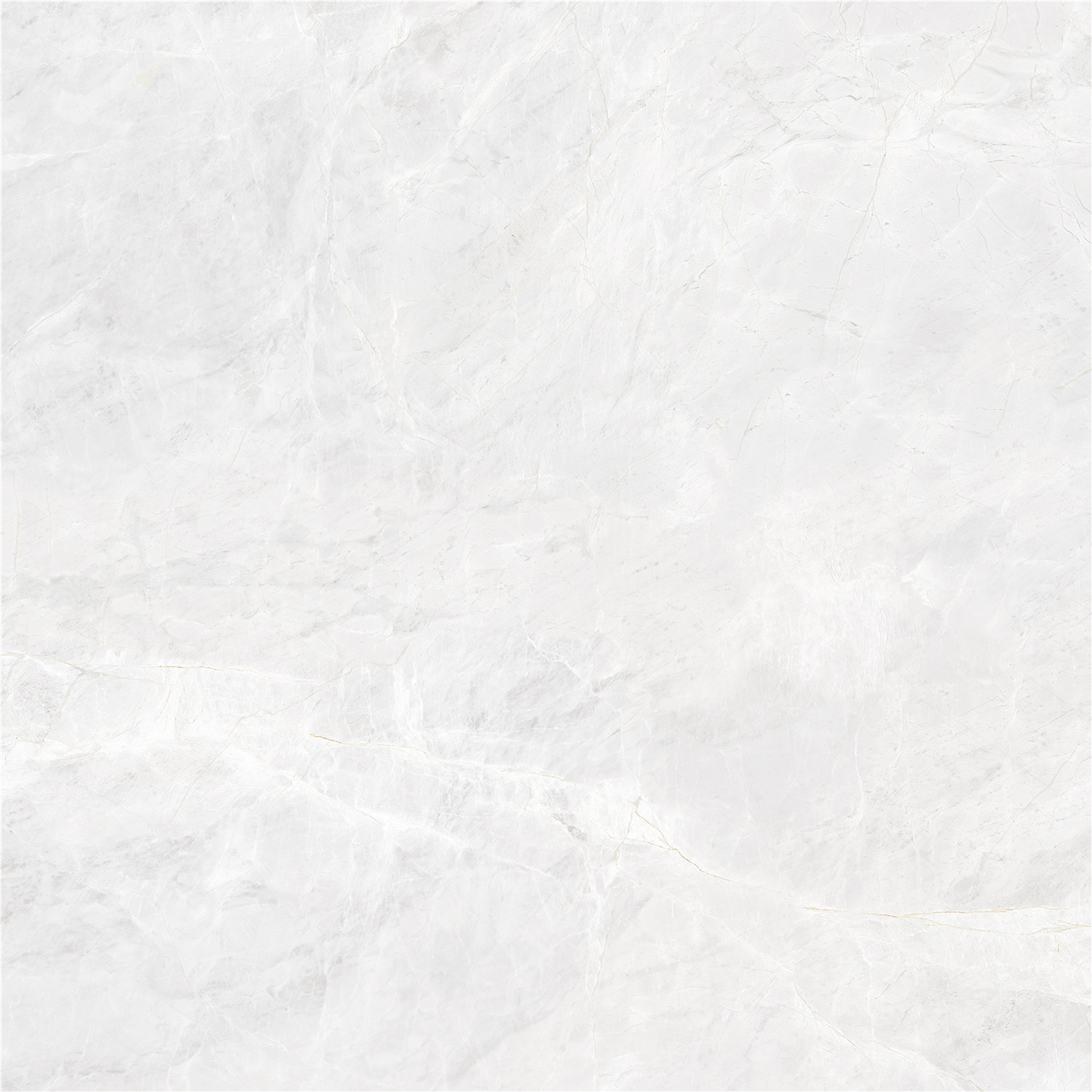 YBF80002圣塔倫灰