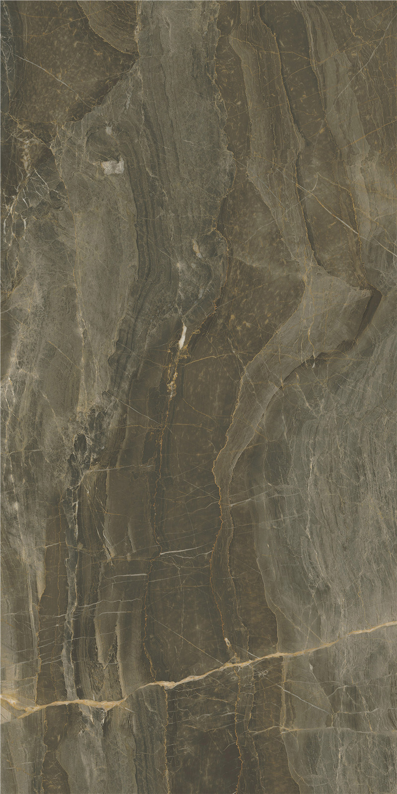 YTB12037所羅門咖