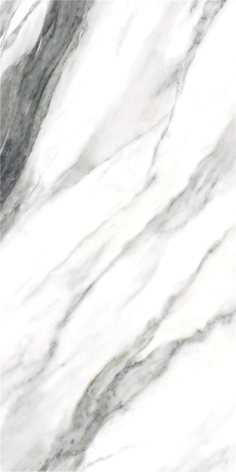 YTB12043楓丹白露