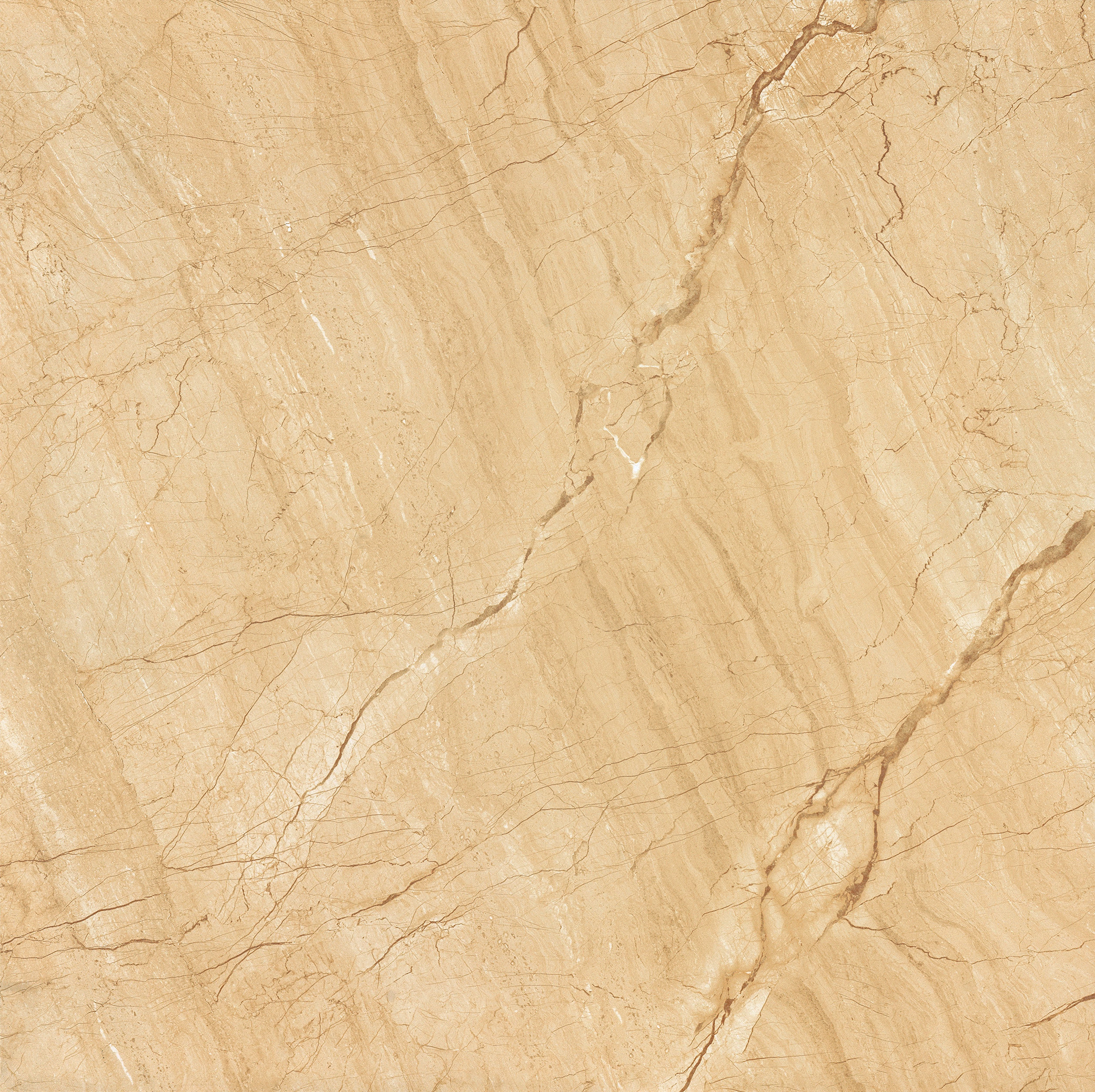 YHTD80002金色年華