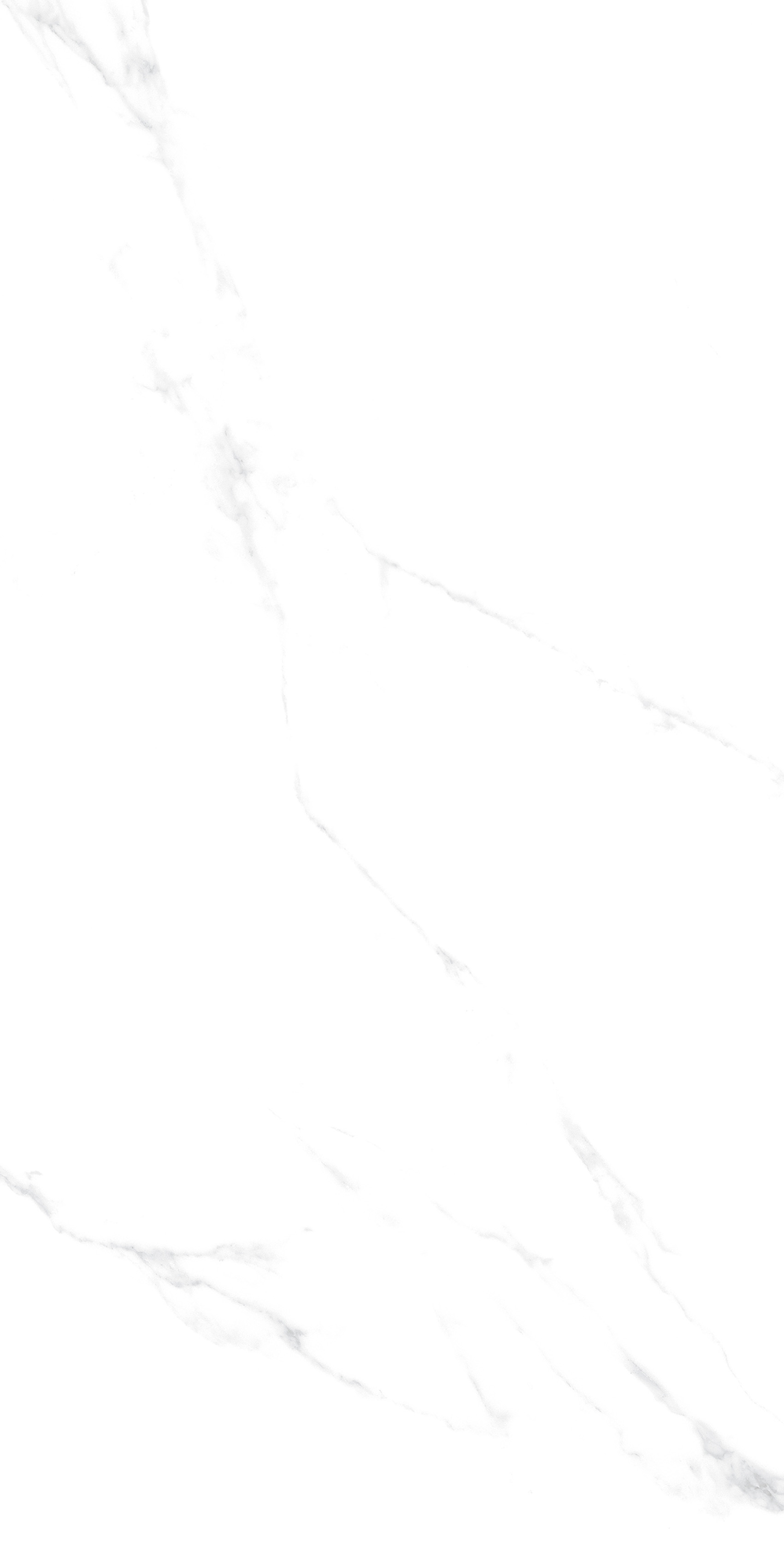 YTB12999伊麗莎白