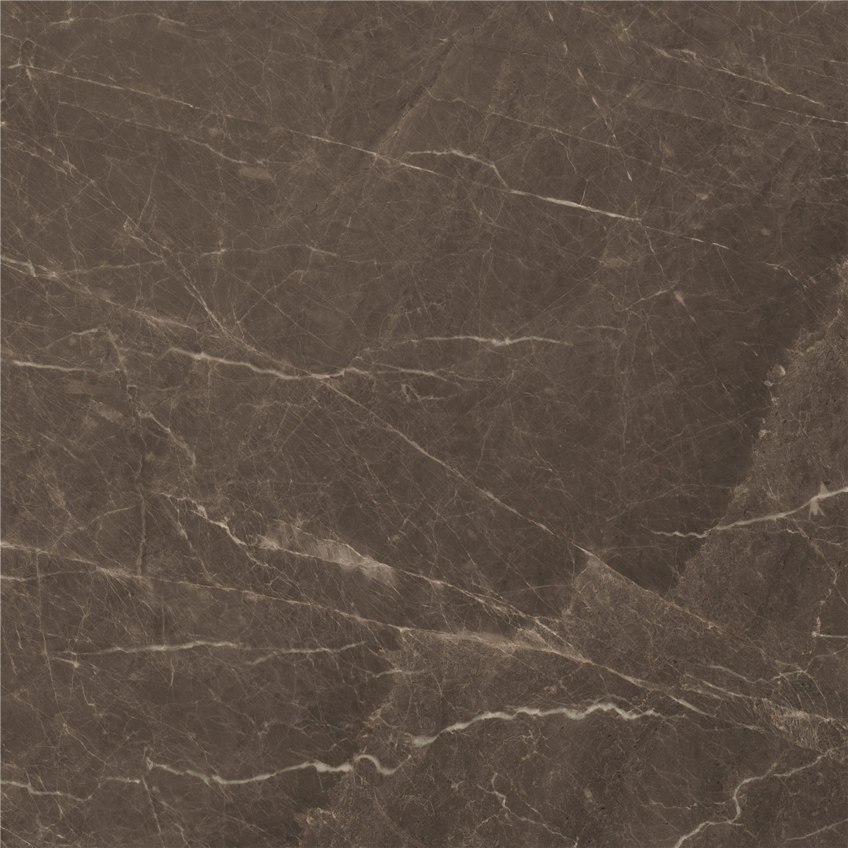 YCYB80024B 納斯卡