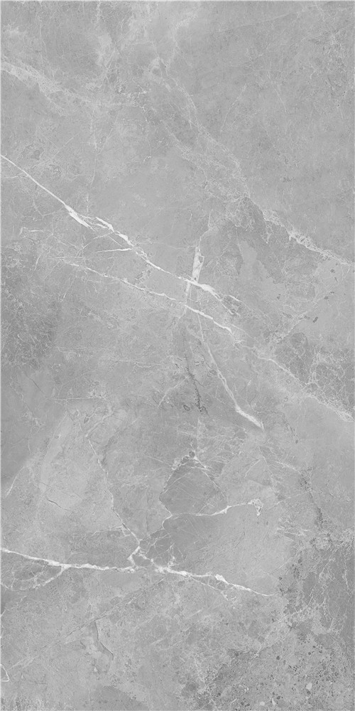 YTB18019阿瑪尼灰