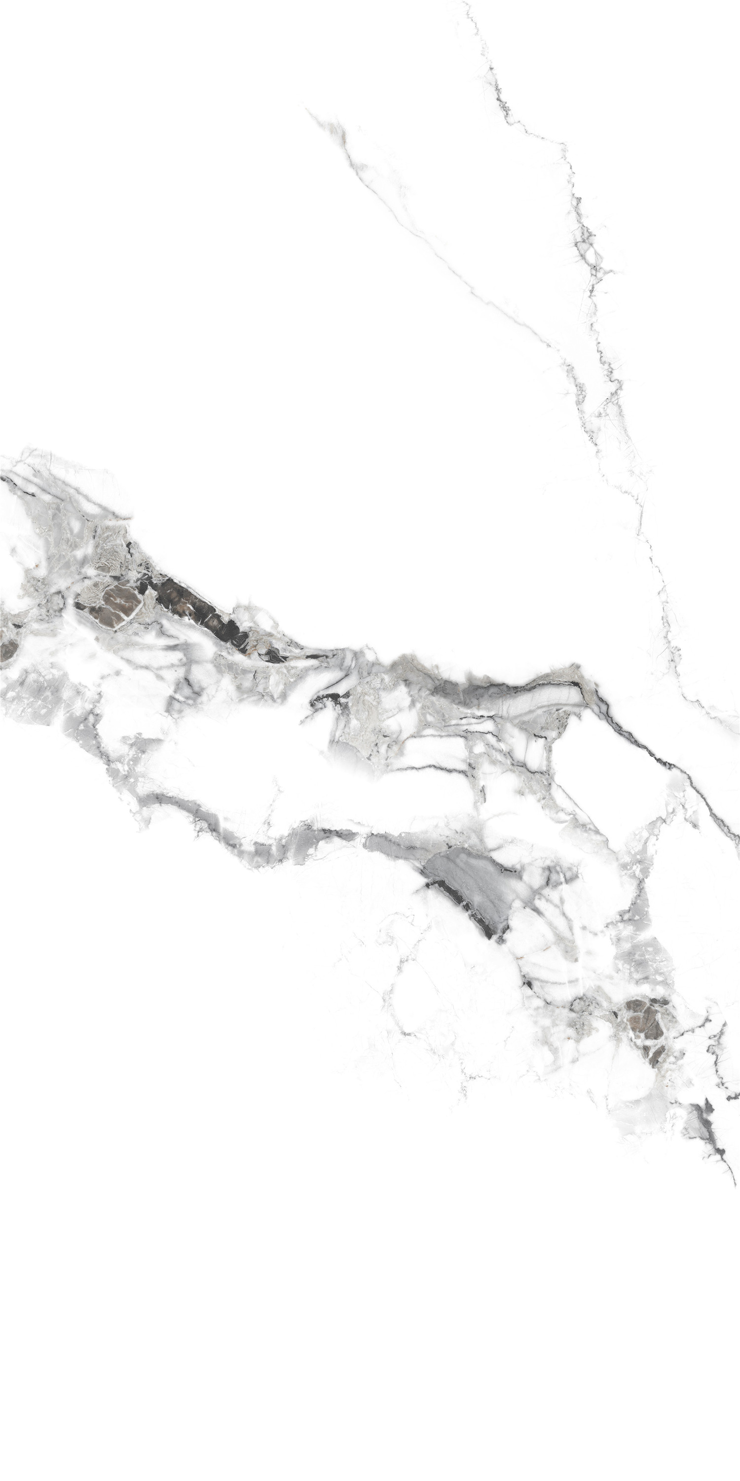 YTB15006千山飛雪