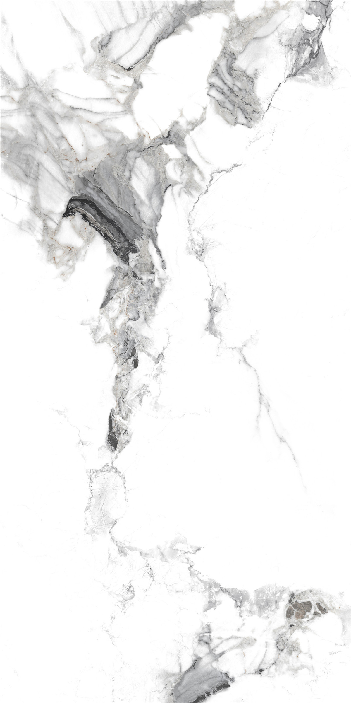 YTB15006千山飛雪