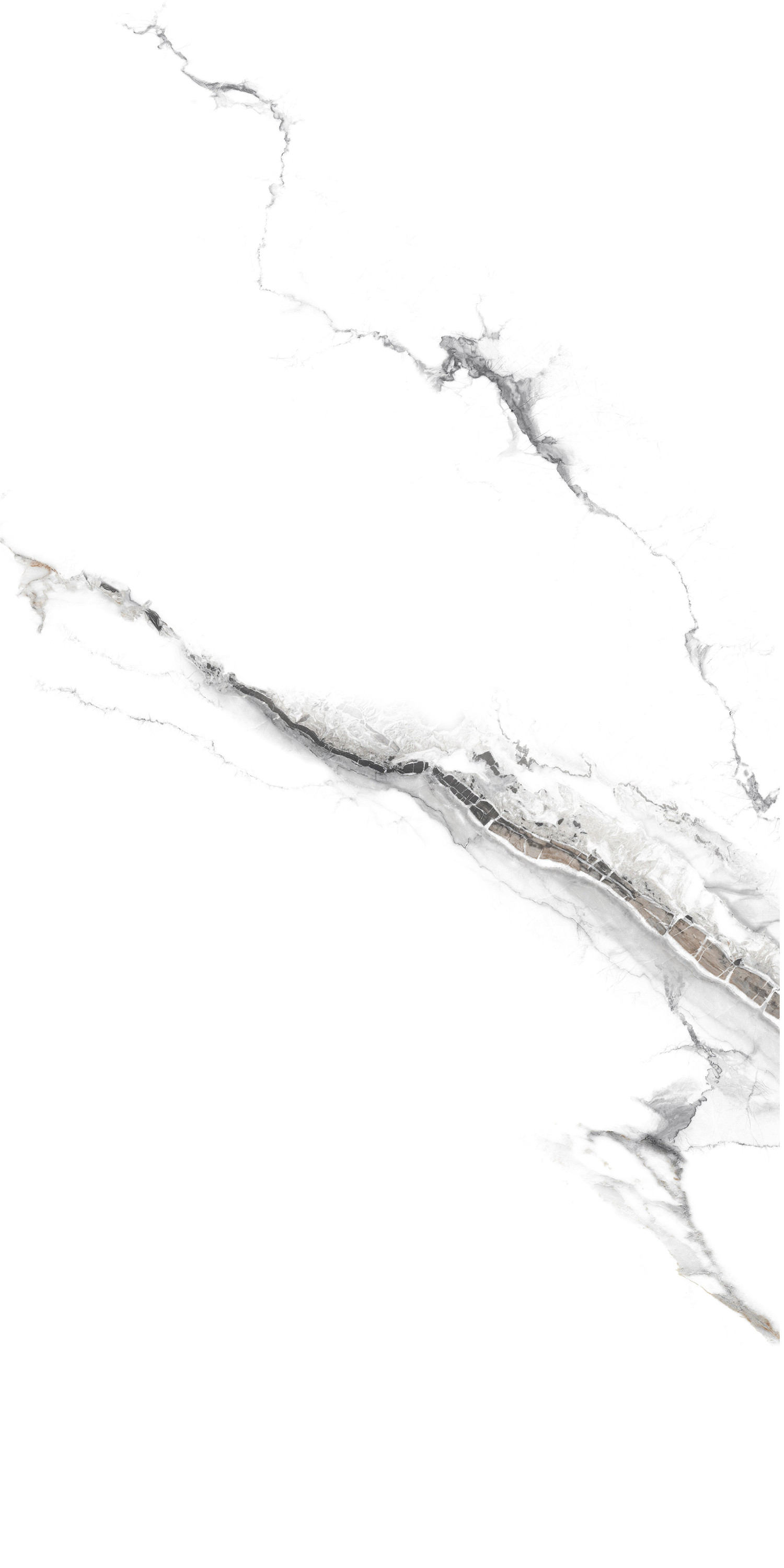 YTB15006千山飛雪