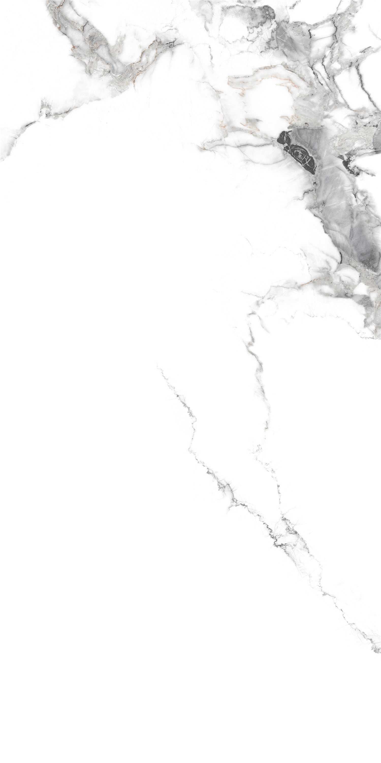 YTB15006千山飛雪