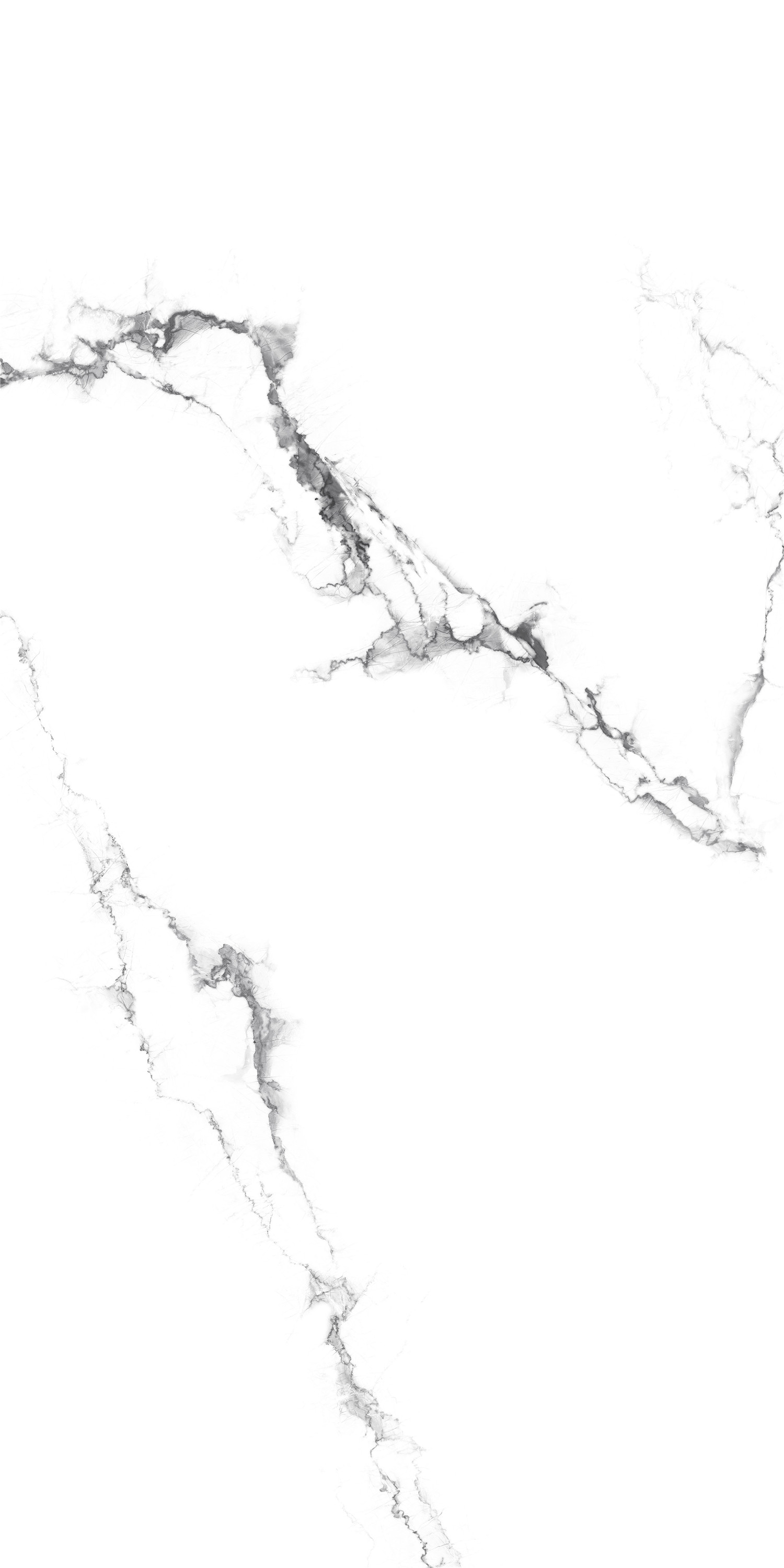 YTB15006千山飛雪