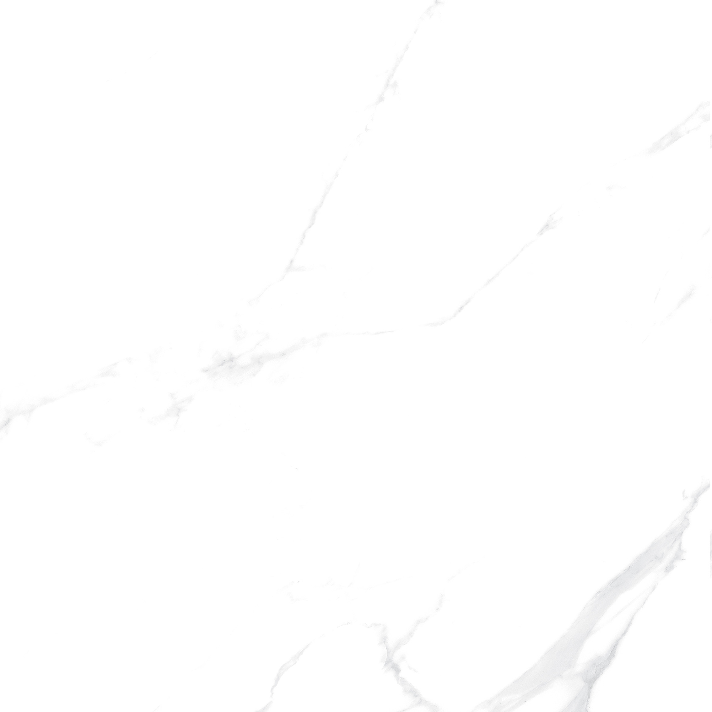 YHTT82999伊麗莎白