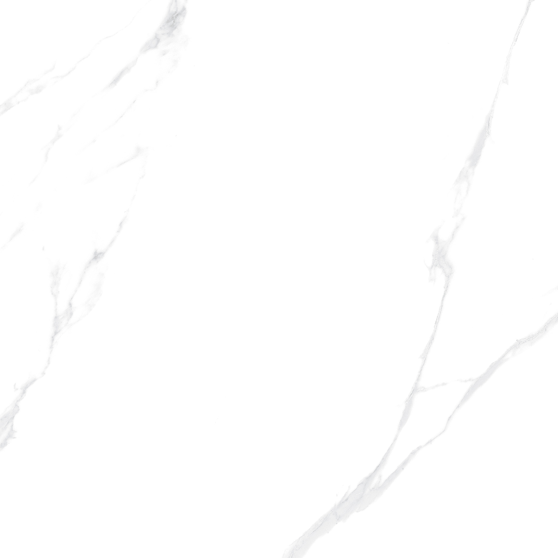 YHTT82999伊麗莎白