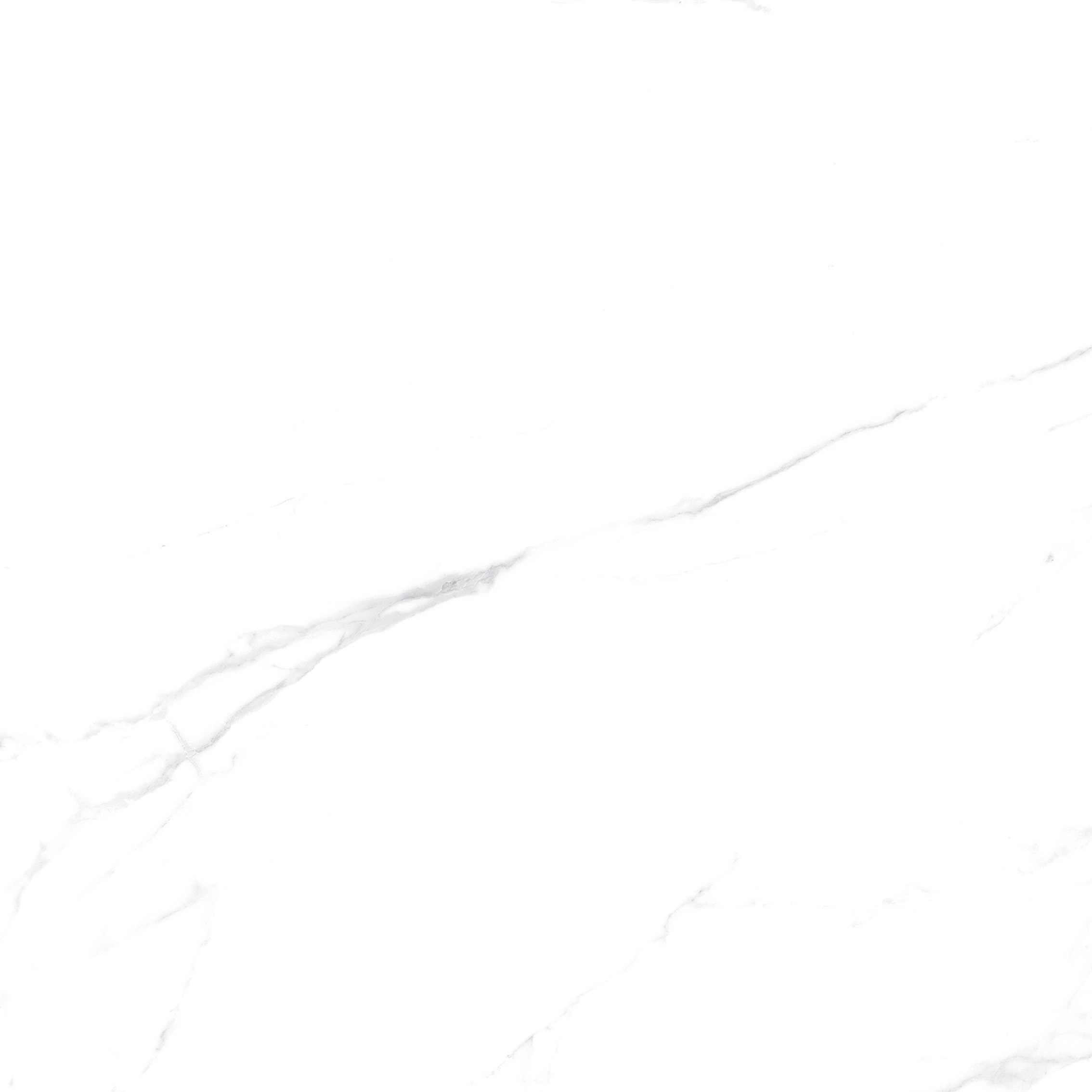 YHTT82999伊麗莎白