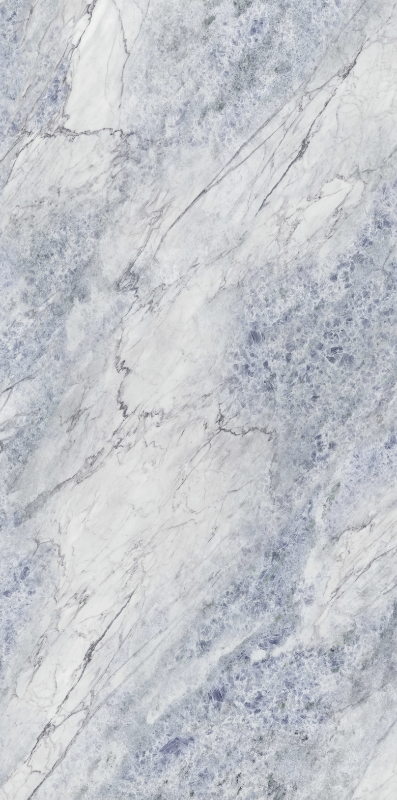 HJ12L2716021B仙境花園