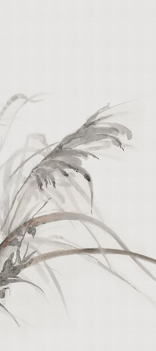 HJ6L2712047Y墨嶼蘭溪