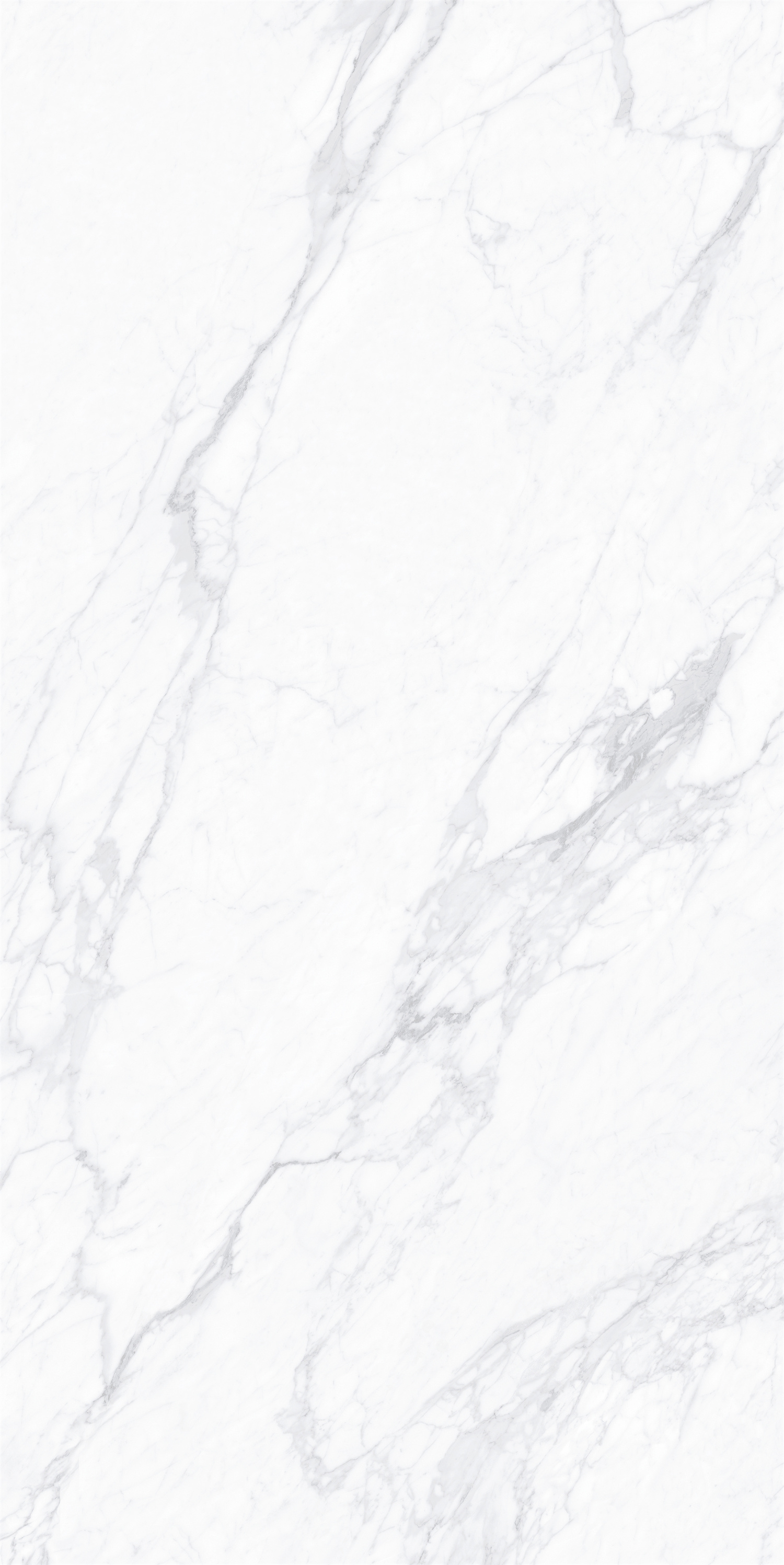 YTP18212蒼蘭之雪