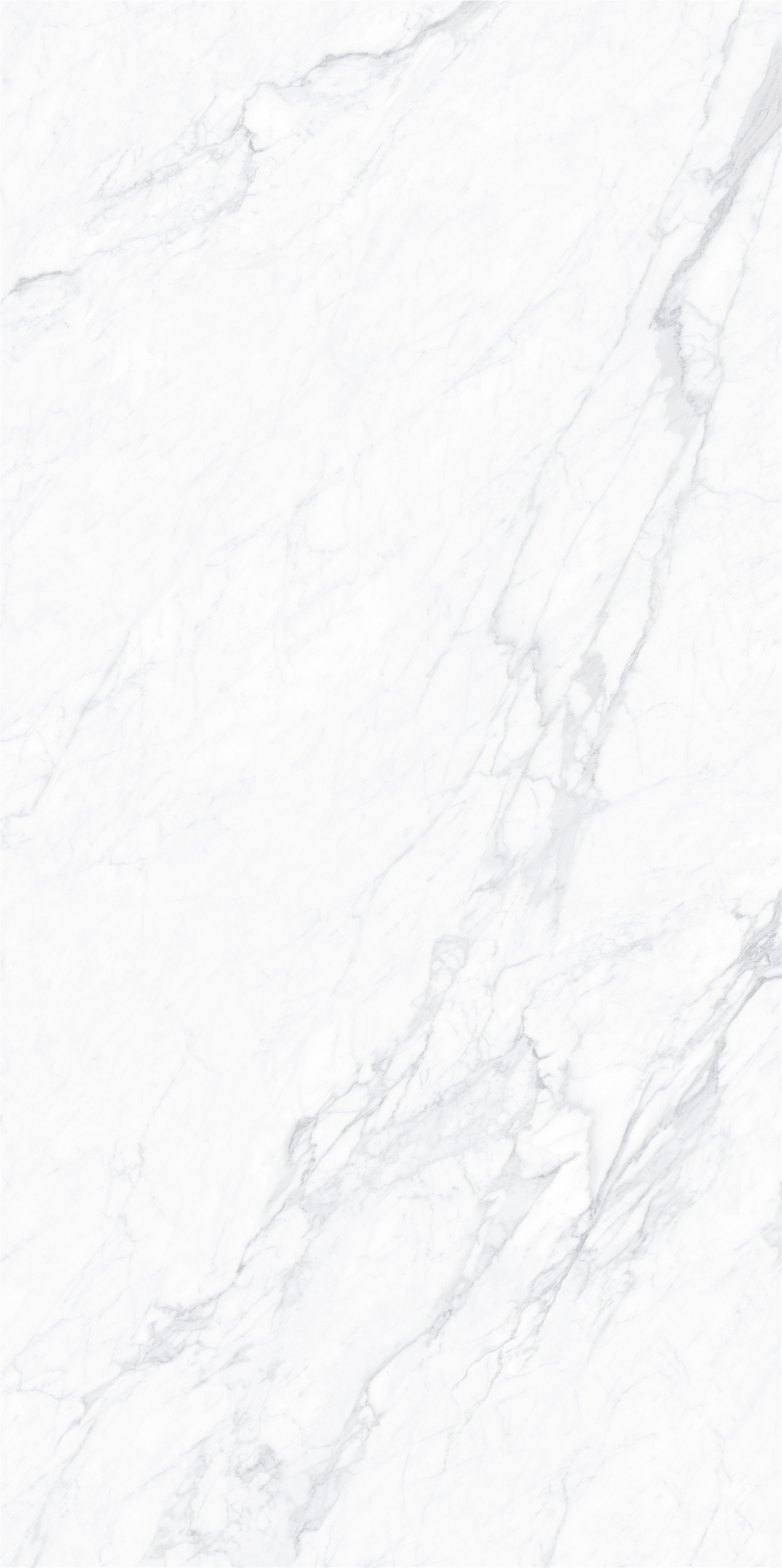 YTP18212蒼蘭之雪