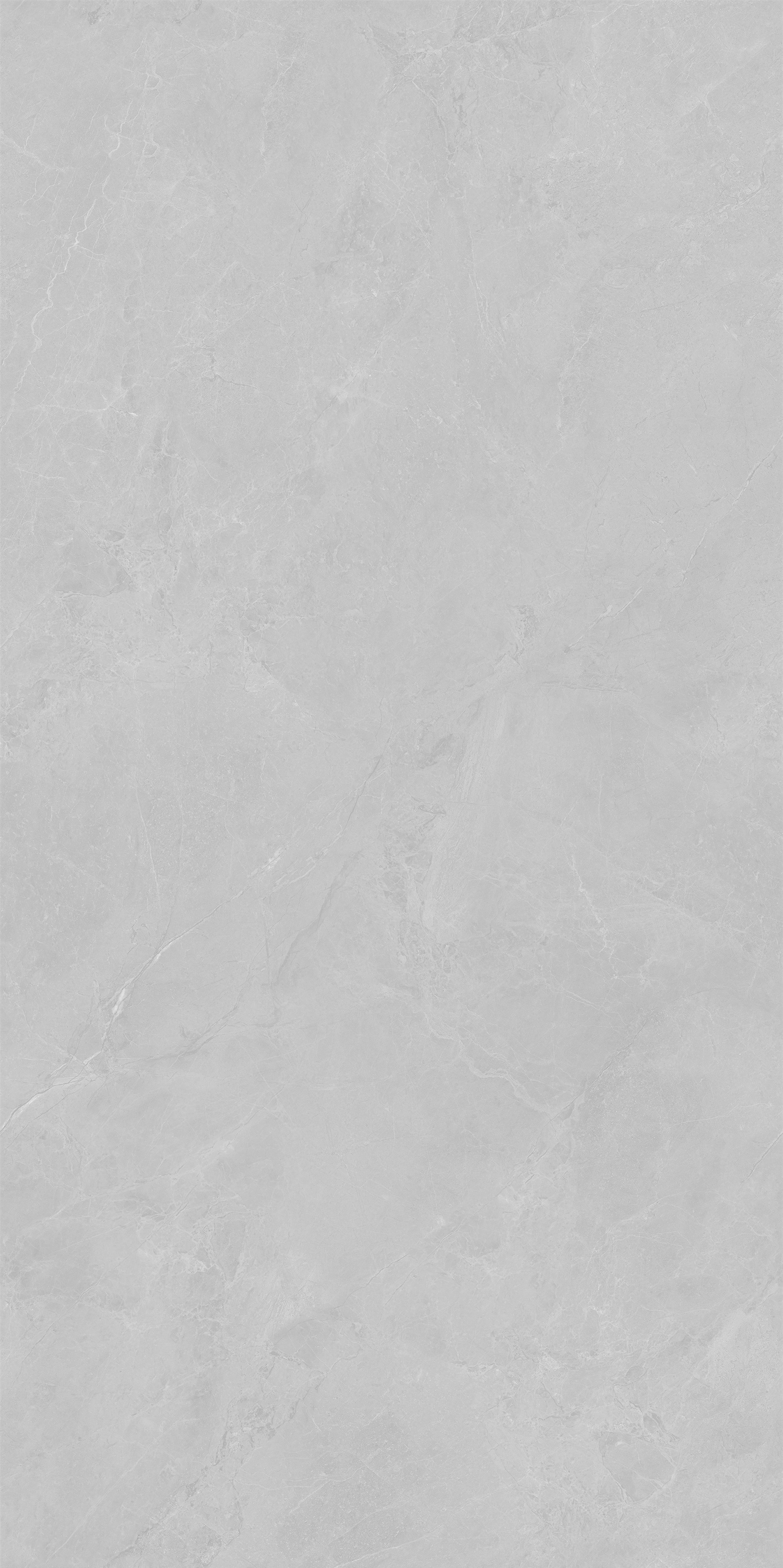 YTC12177云霧松林