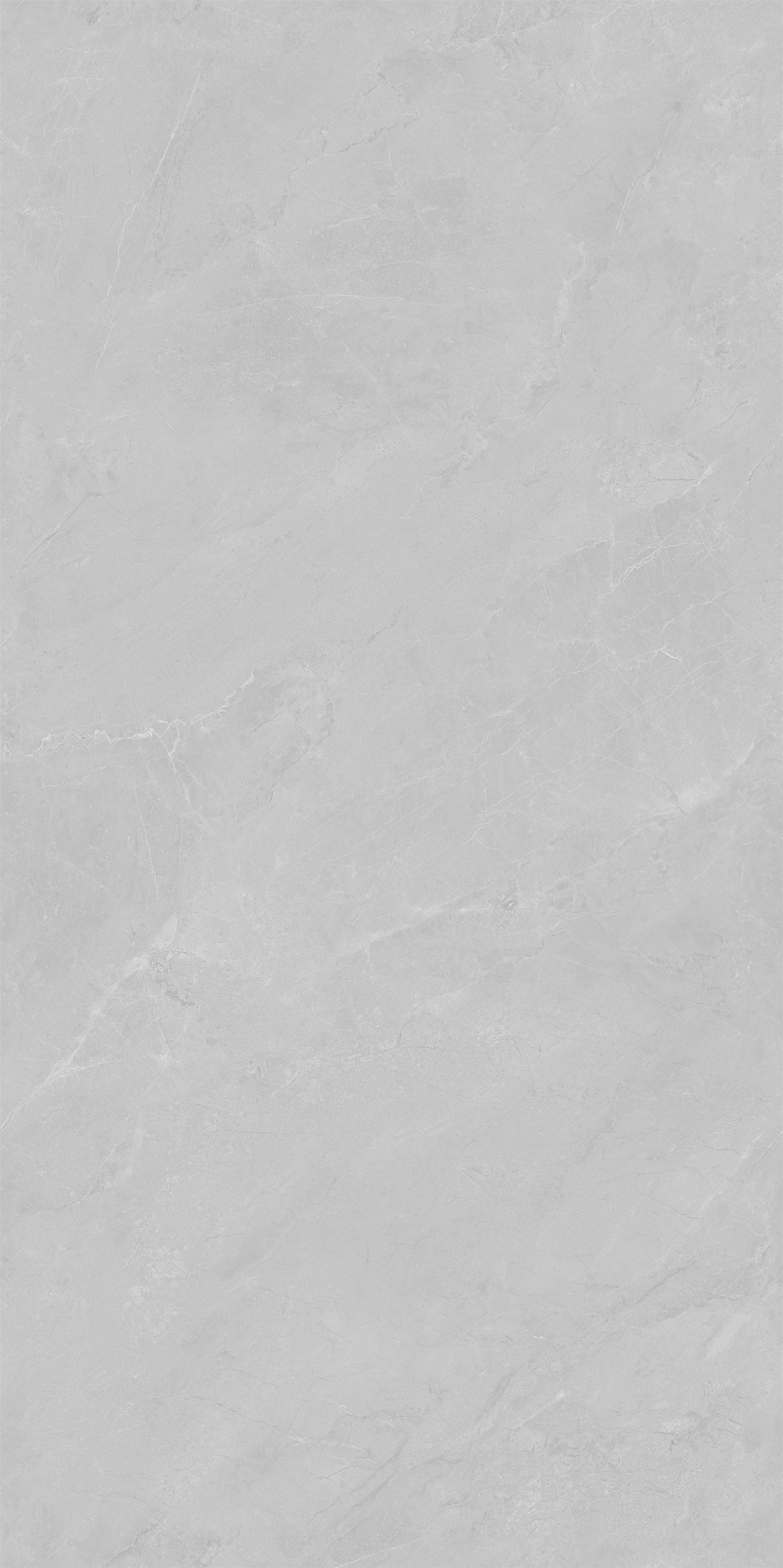 YTC12177云霧松林