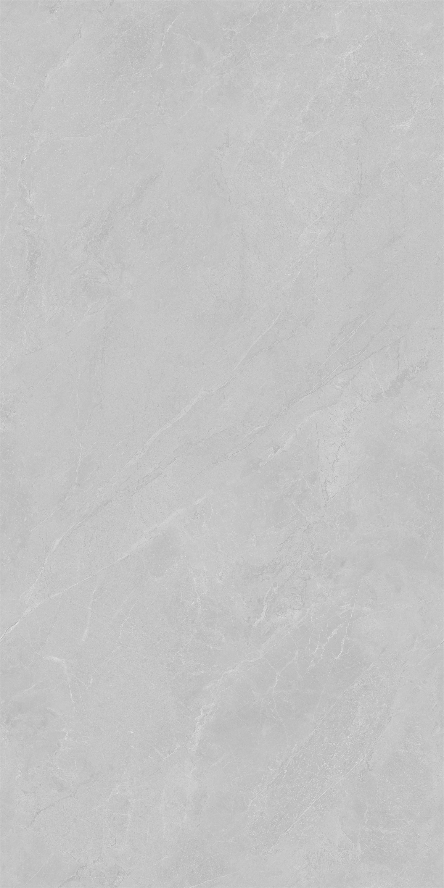 YTC12177云霧松林