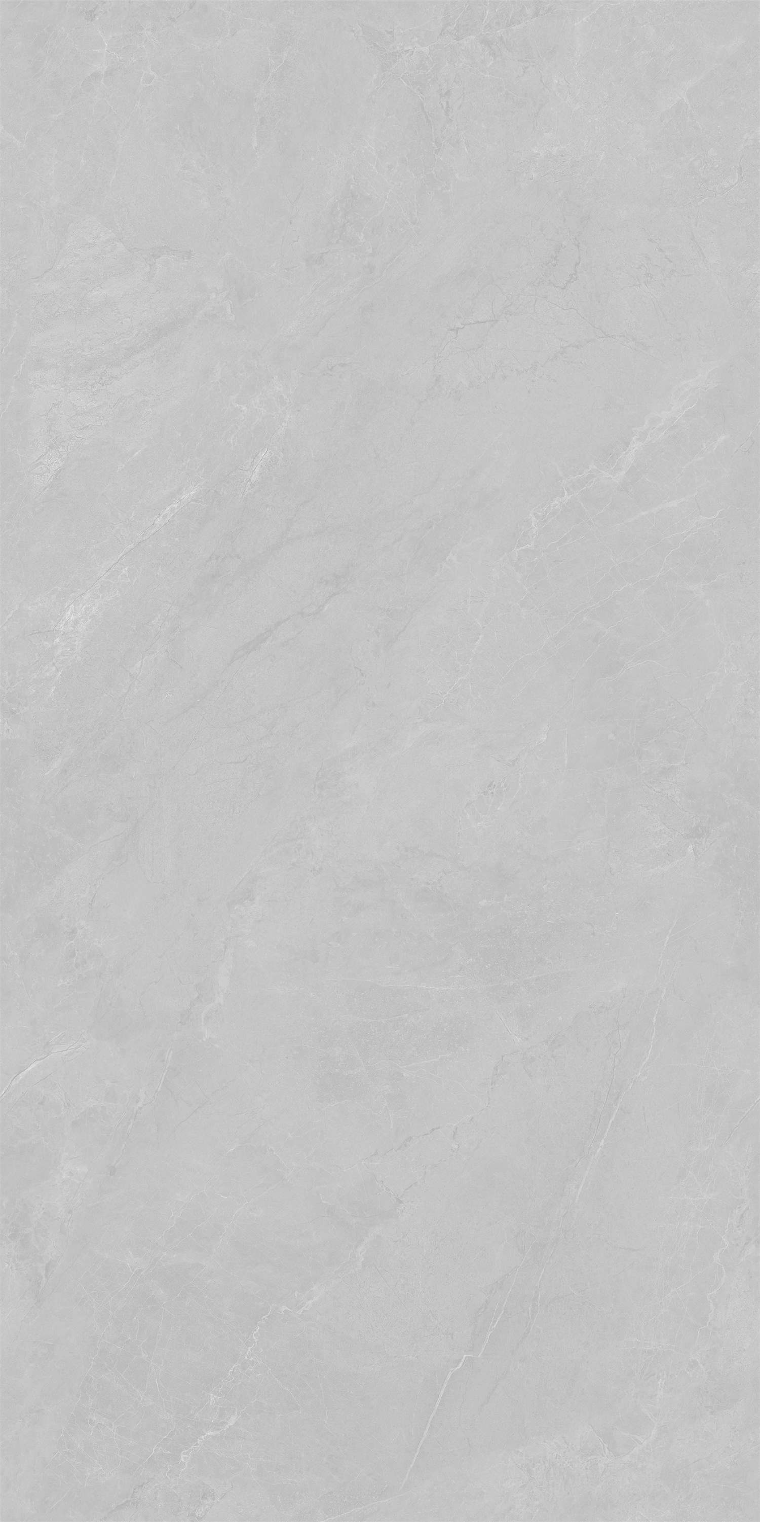 YTC12177云霧松林