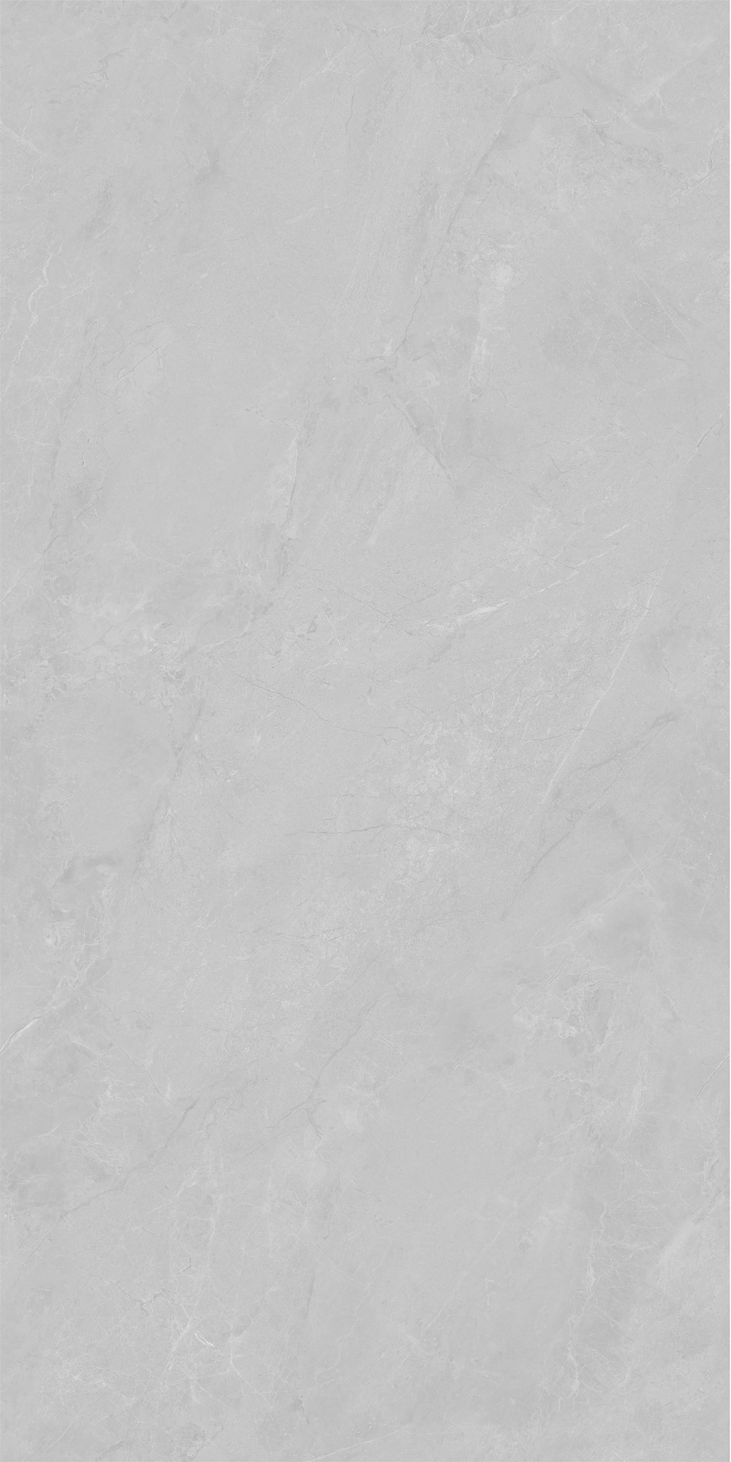 YTC12177云霧松林