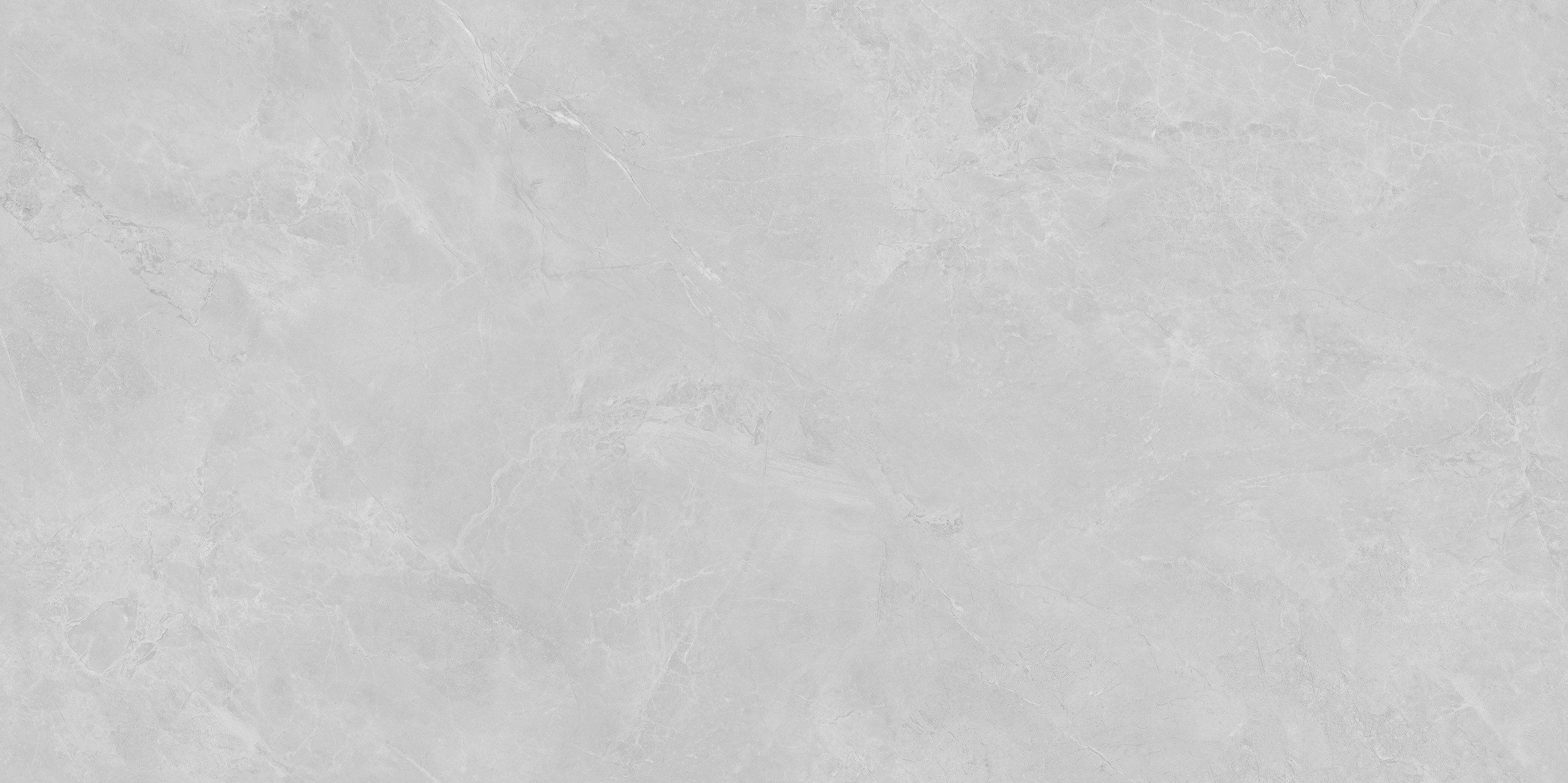 YTC48027云霧松林